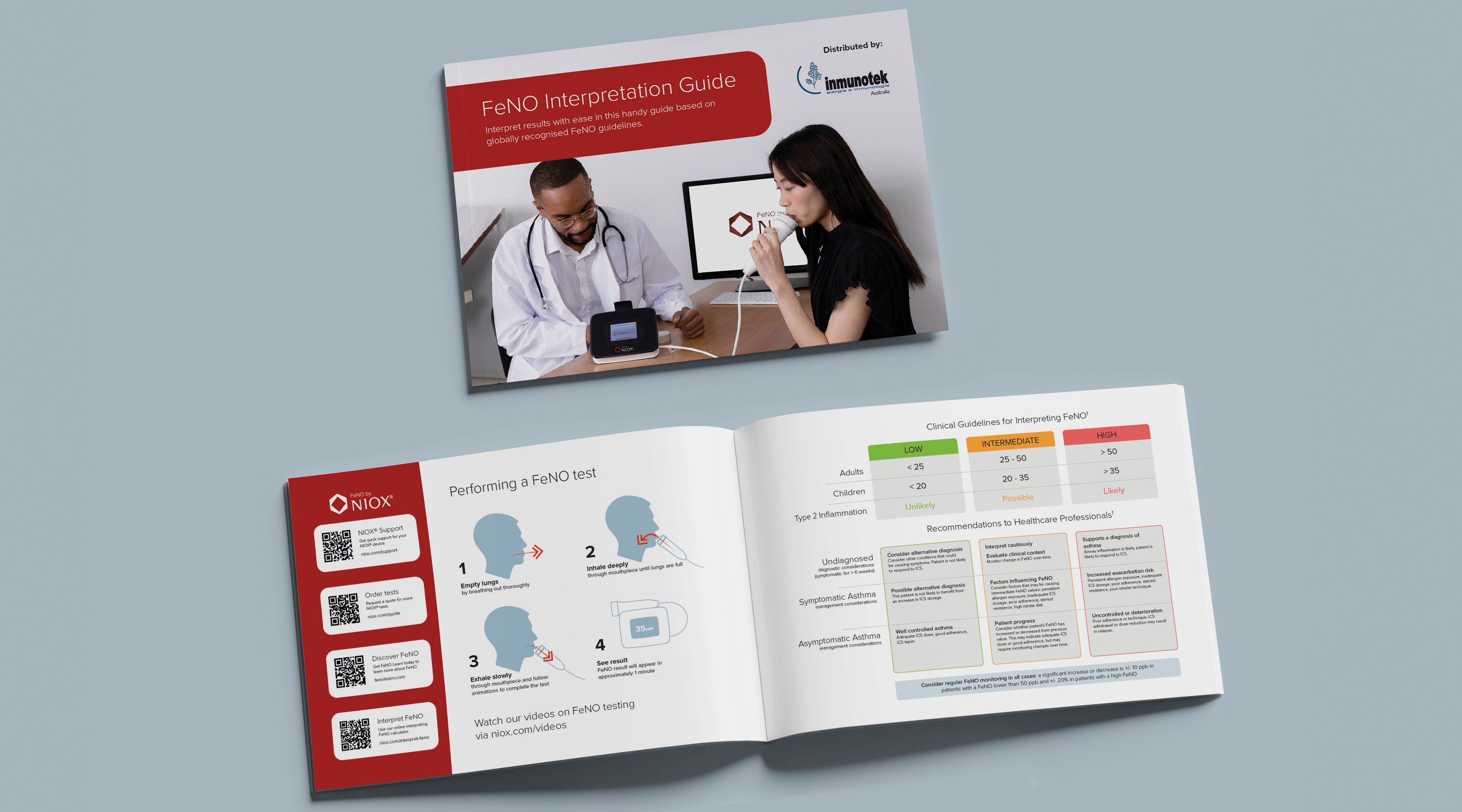 Clinical Interpretations Guide 3D Cropped